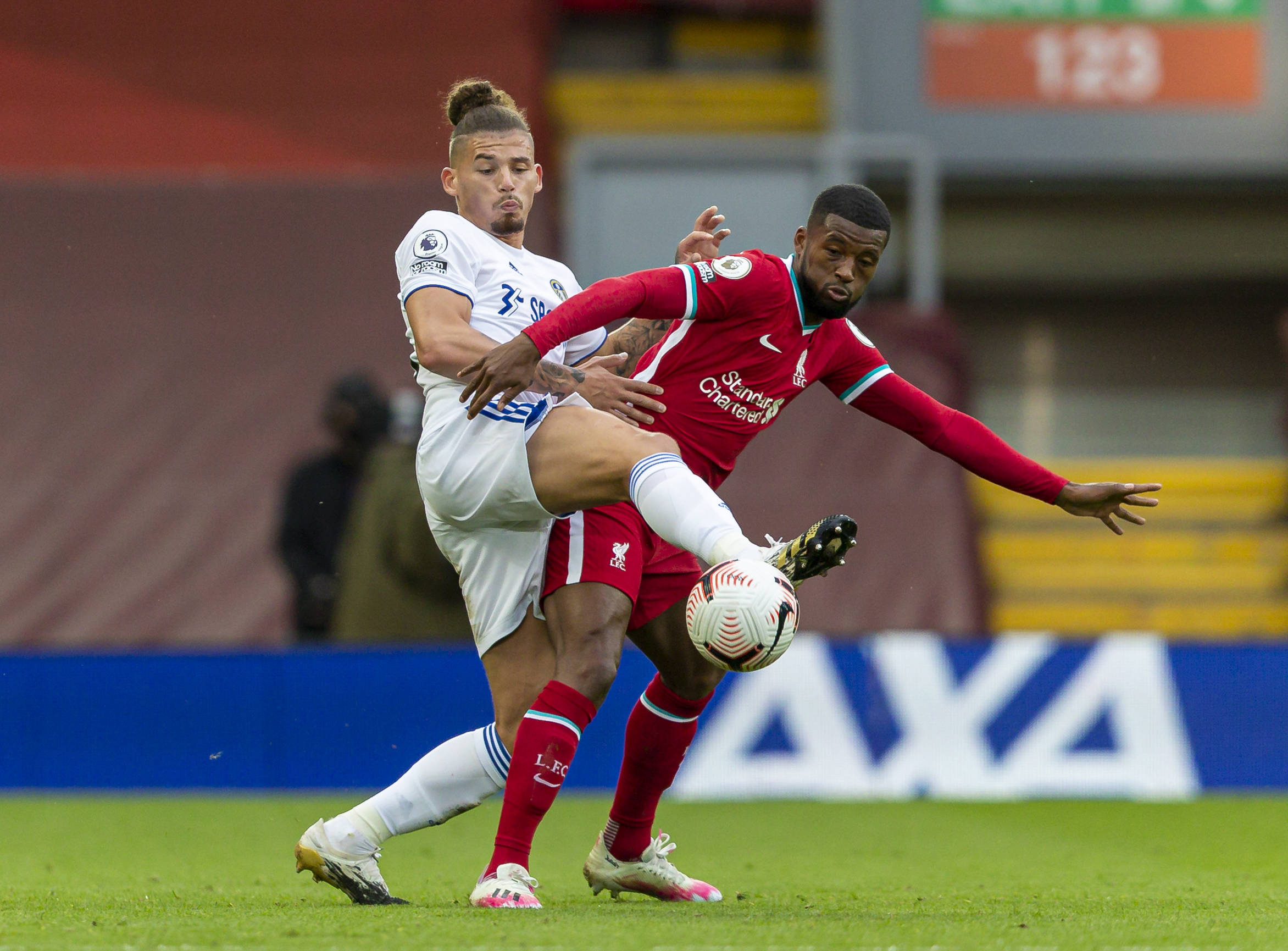 使得他不仅 使得他不仅